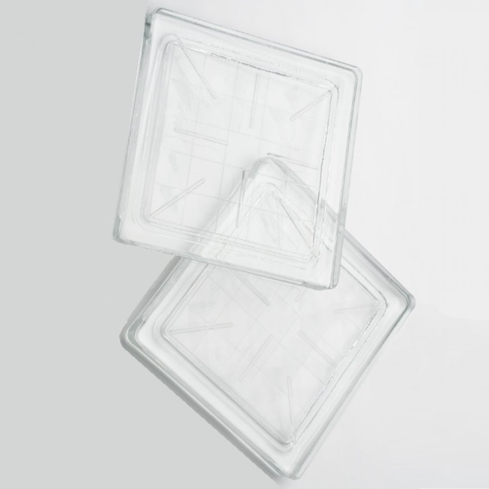 cam parke 20x20cm kareli şeffaf