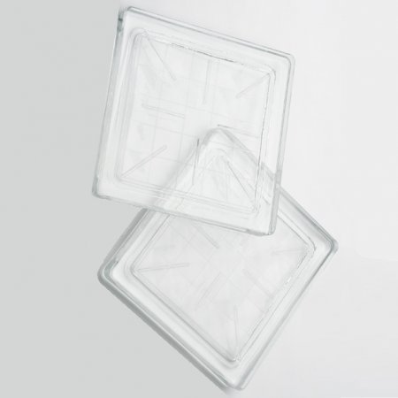 cam parke 20x20cm kareli şeffaf